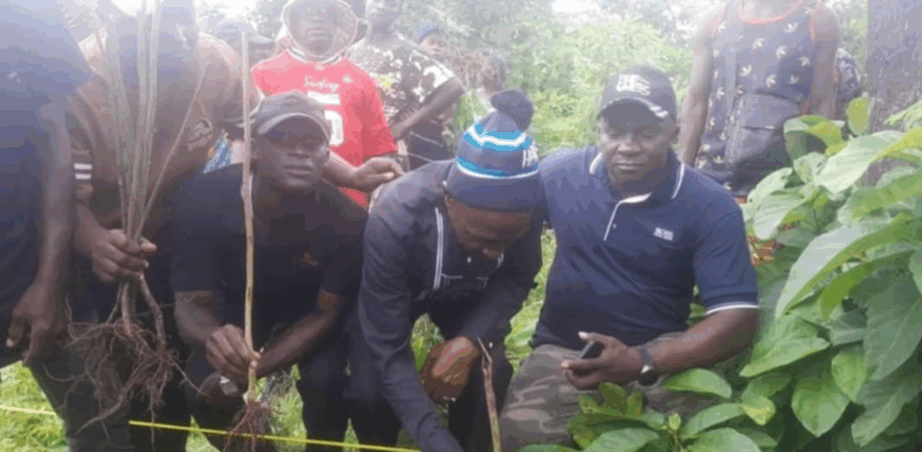 image-40-1024x503 Forécariah : 2 600 arbres plantés à Moussayah pour célébrer la Journée de la Jeunesse