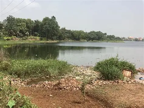image-129 Conakry : ultimatum aux occupants des rives du lac de Sonfonia
