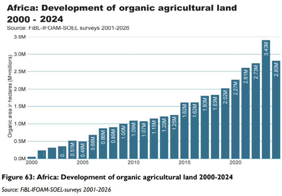 image-156 Agriculture biologique : l’Afrique voit ses superficies reculer pour la 1ère fois en dix ans