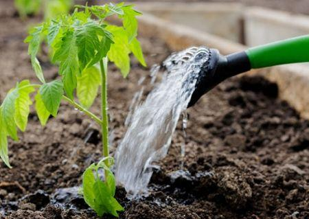 image-125 La sécurité alimentaire africaine passera aussi par la restauration de la santé des sols