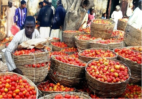 image-132 Focus sur le commerce intrarégional de la tomate en Afrique de l’Ouest