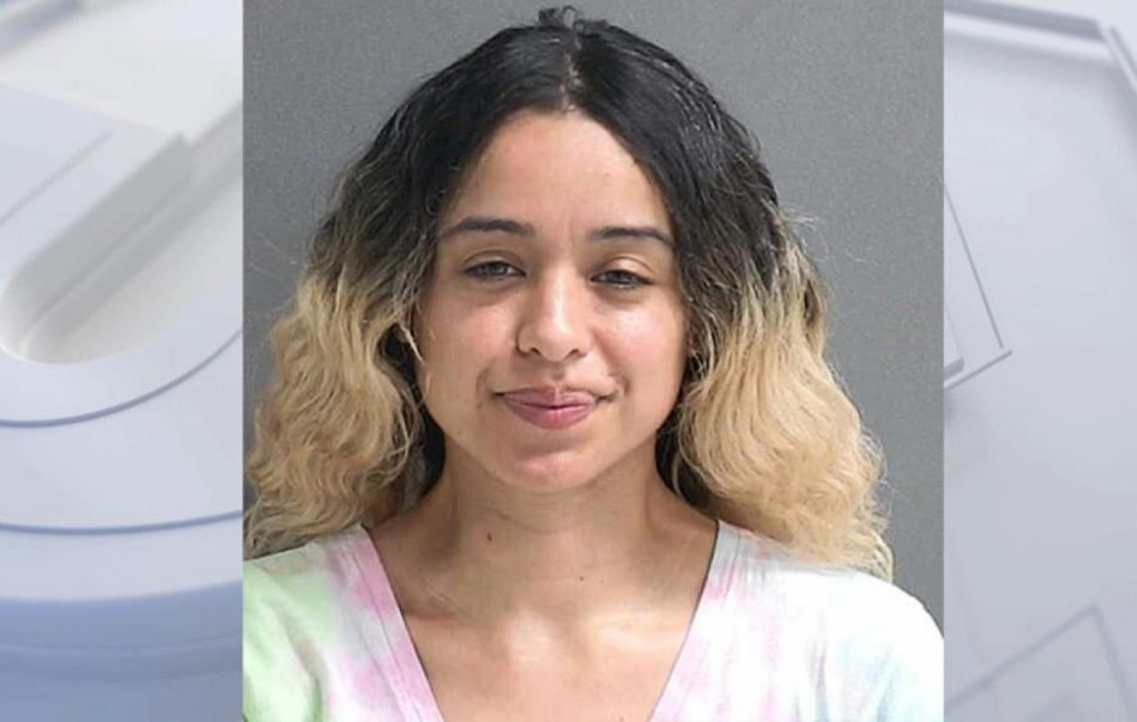 image-60-1024x650 Tirs sur la maison de Rihanna : qui est la suspecte, Lisette Ortiz, poursuivie pour tentative de meurtre ?