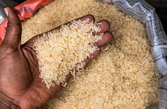 image-5 Le paradoxe du riz en Afrique de l’Ouest : la région produit plus, mais importe toujours plus