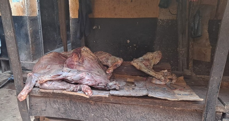 image-69 Labé : après le scandale de la viande avariée, dix personnes écrouées en attendant leur procès