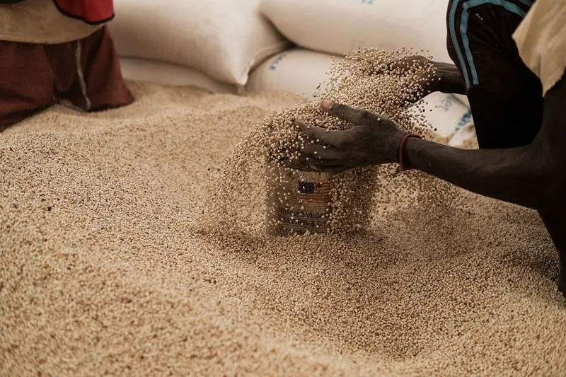 image-140 Cinq (5) aliments africains que la science considère comme excellents pour la santé