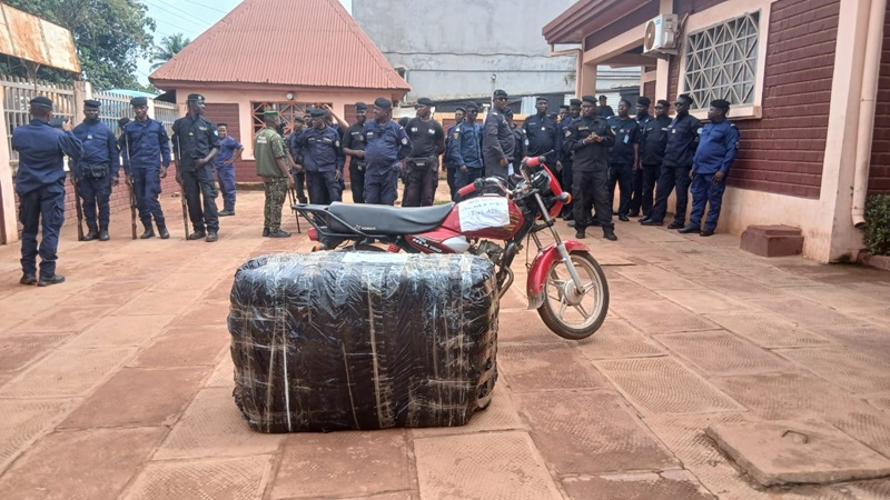 image-143 Saisie de plus de 150 Kg de chanvre indien à Kindia : un suspect aux arrêts !
