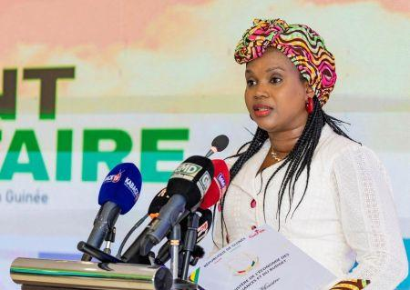 image-103 La Guinée propose un taux d’intérêt de 11 % sur 5 ans pour lever 284 millions $