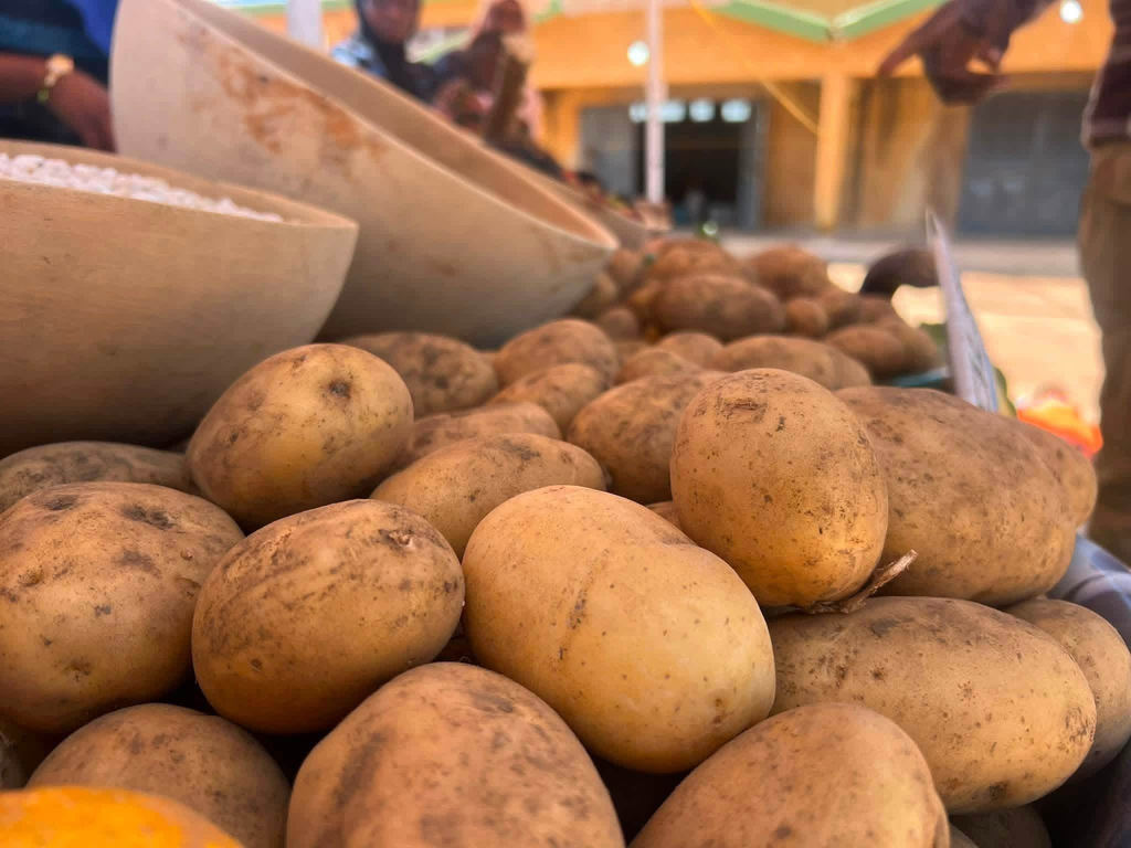 image-68-1024x768 Mali : la fête de la pomme de terre mobilise autorités et acteurs agricoles